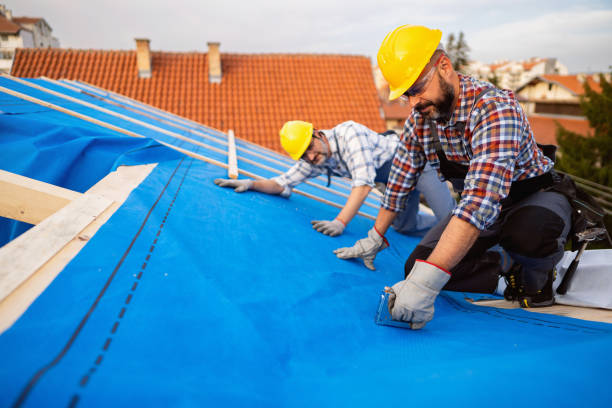 Roof Waterproofing Services in Wiggins, CO
